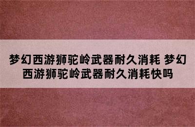 梦幻西游狮驼岭武器耐久消耗 梦幻西游狮驼岭武器耐久消耗快吗